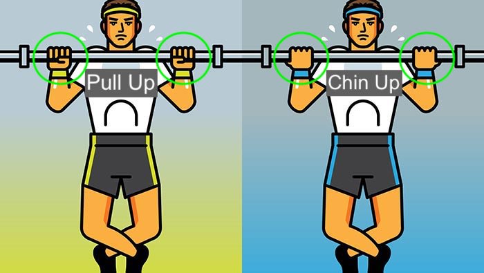 Pull Up vs. Chin up