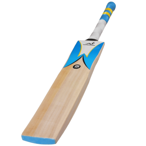 Woodworm Cricket iBat 235+ Junior English Willow Cricket Bat