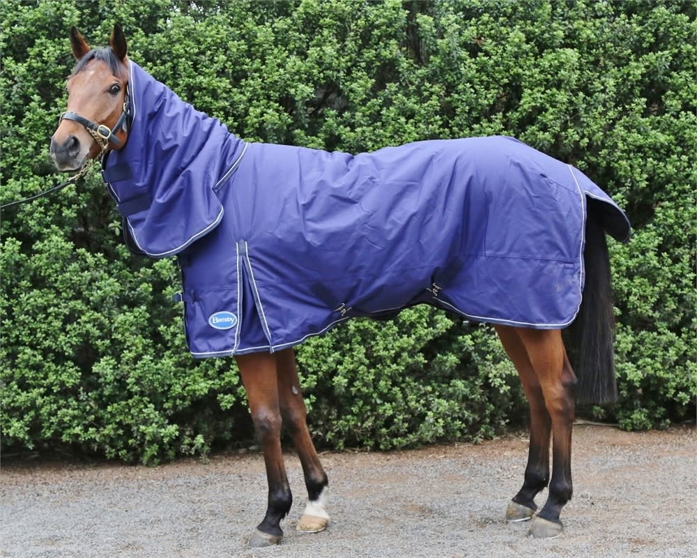 600 Denier with 200g Fill Barnsby Equestrian Waterproof Horse Winter Blanket/Turnout Rug with Neck Combo 