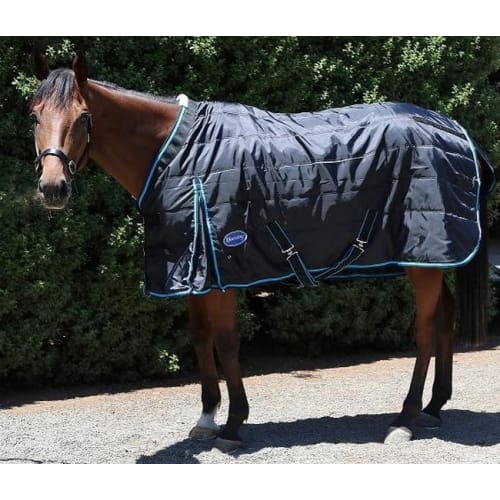 Golfandsports Com Horse Blankets Rugs