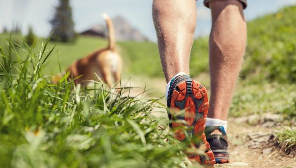 running, jogging, walk, run, jog, dog, path, hiking, runner, jogger, dog walk, grass