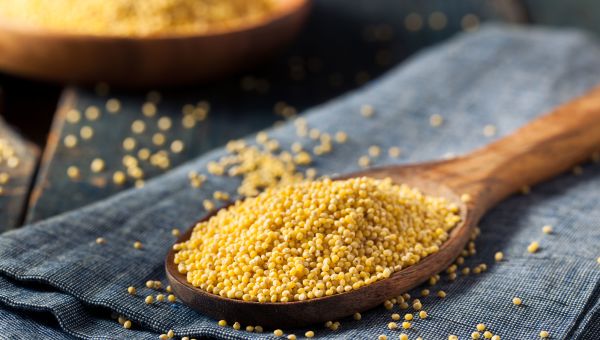 Nutritional yeast