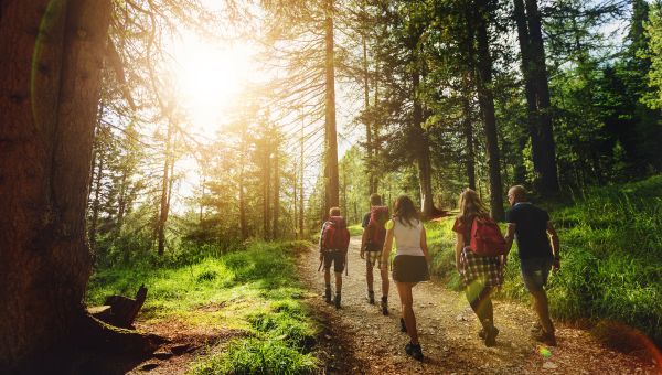 Group walking through forest