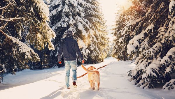 man walking dog in snow