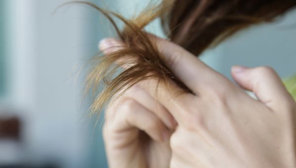 woman holding the tip of her dry hair