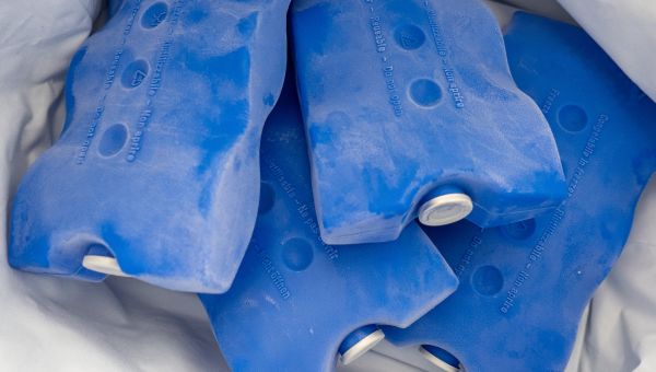 a handful of blue frozen cooler blocks keep a cooler cold