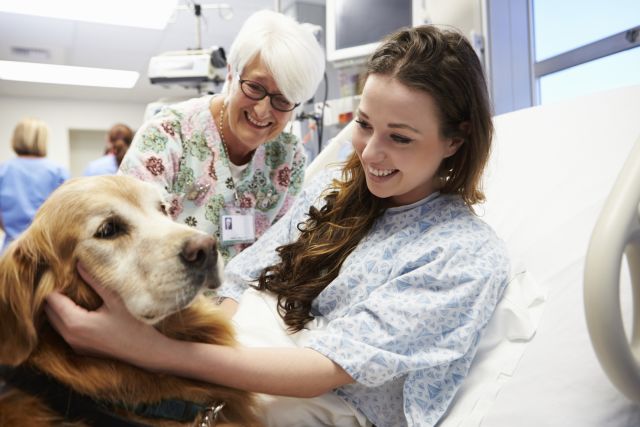 young woman in hospital with therapy dog, smiling