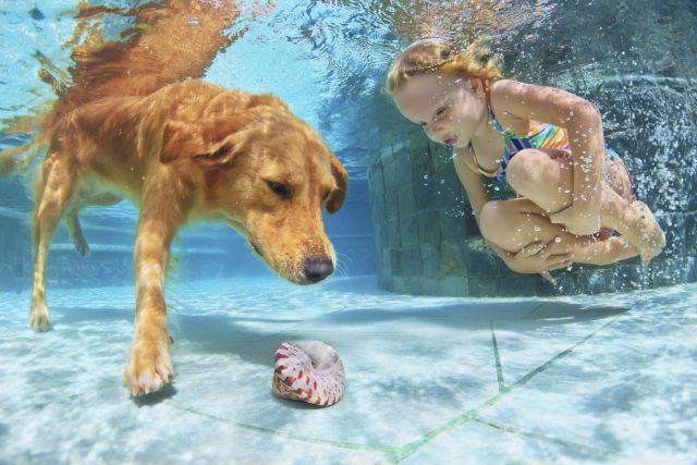 A young girl swimming and playing with her dog in a pool.