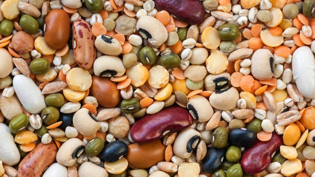 Legumes - texture