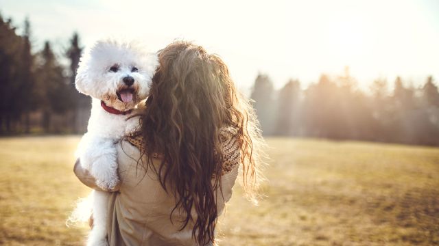 A woman carries her white dog as she walks to ease her broken heart syndrome.  