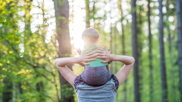 Parent walking in the woods and carrying on her shoulders a 1-year-old child with signs of autism. 