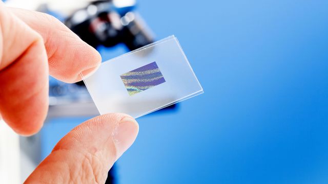 Hand holding a microscope slide