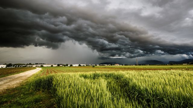 Dark storm clouds on the horizon over a field.