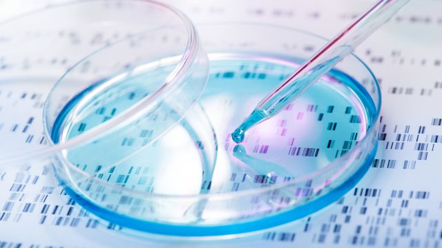 DNA sample from a direct-to-consumer genetic health test being added to a petri dish.
