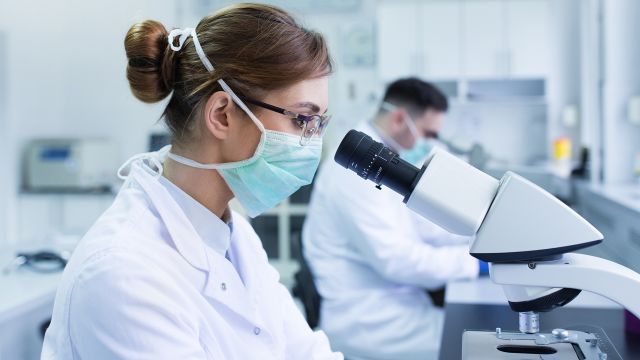 A doctor in a medical lab uses a microscope to identify a kidney cancer cell.