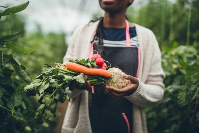 a young black woman holds a handful of freshly harvest root vegetables, including carrots and radishes, staples of the healthy Nordic diet