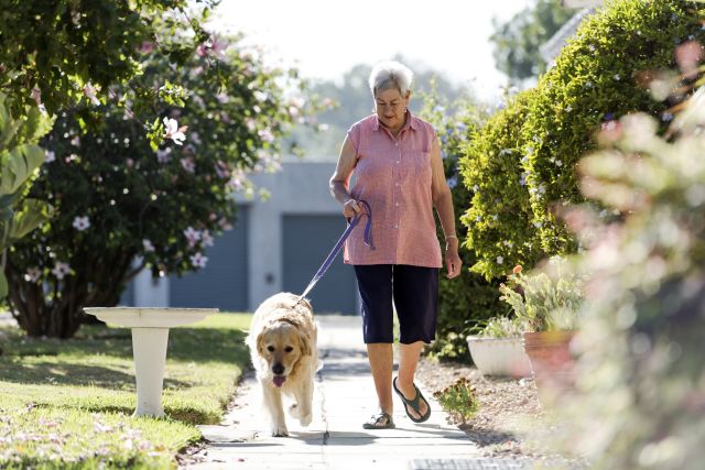 senior woman walking with her dog