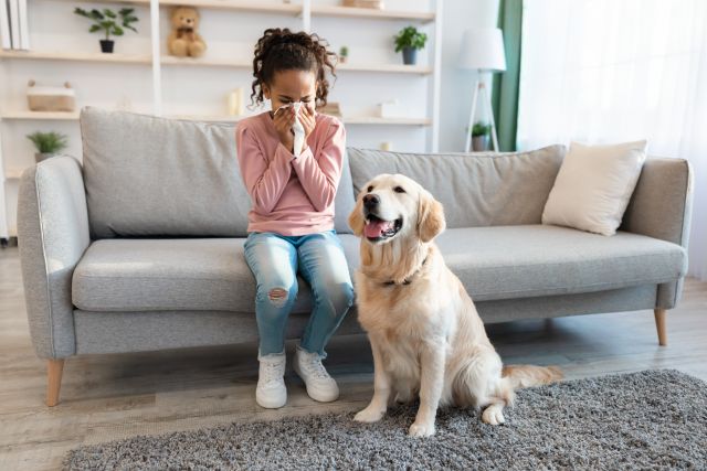 A young Black girl sits on a couch, blowing her nose. Beside her sits a shaggy dog.