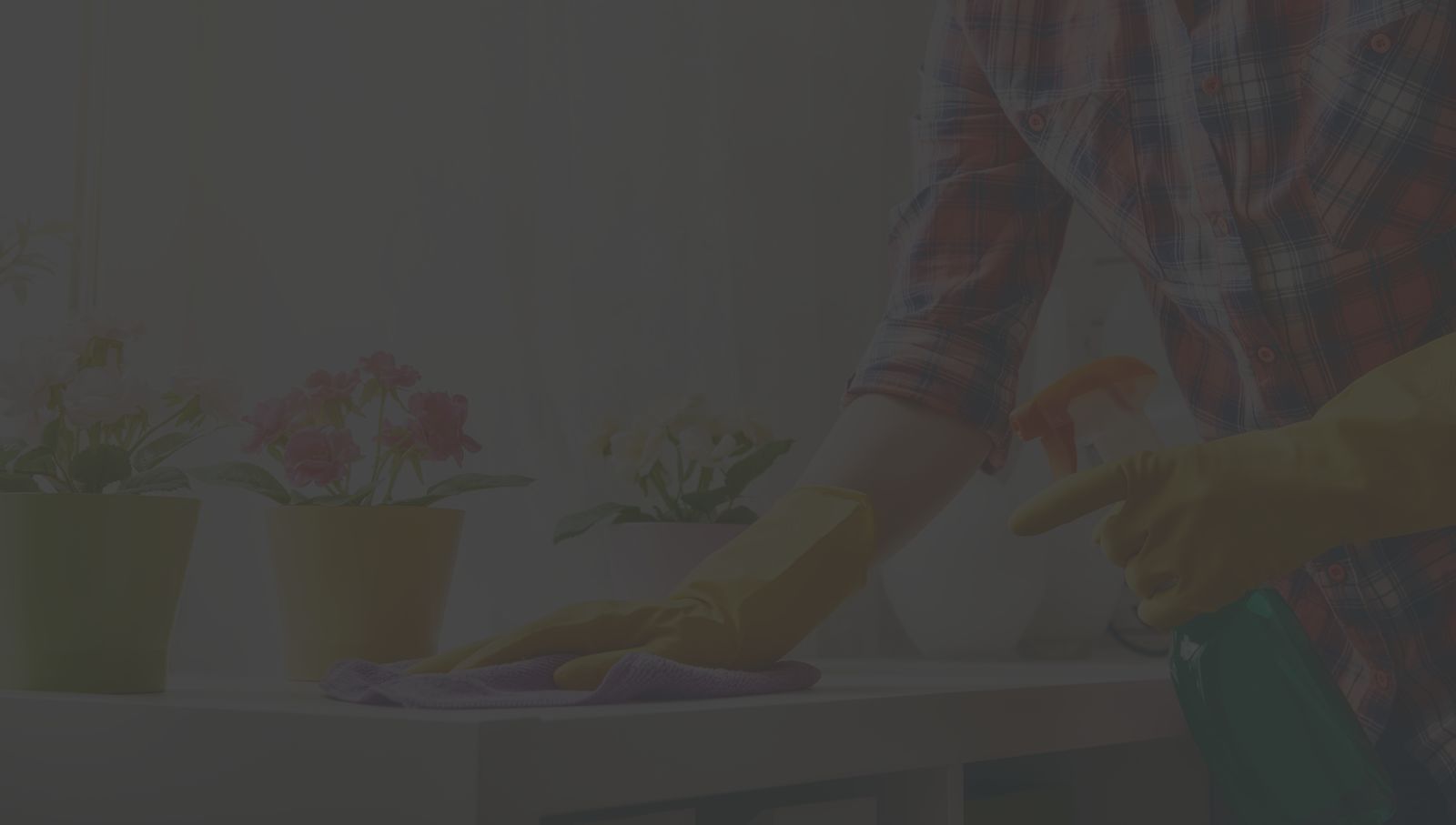 woman cleaning kitchen