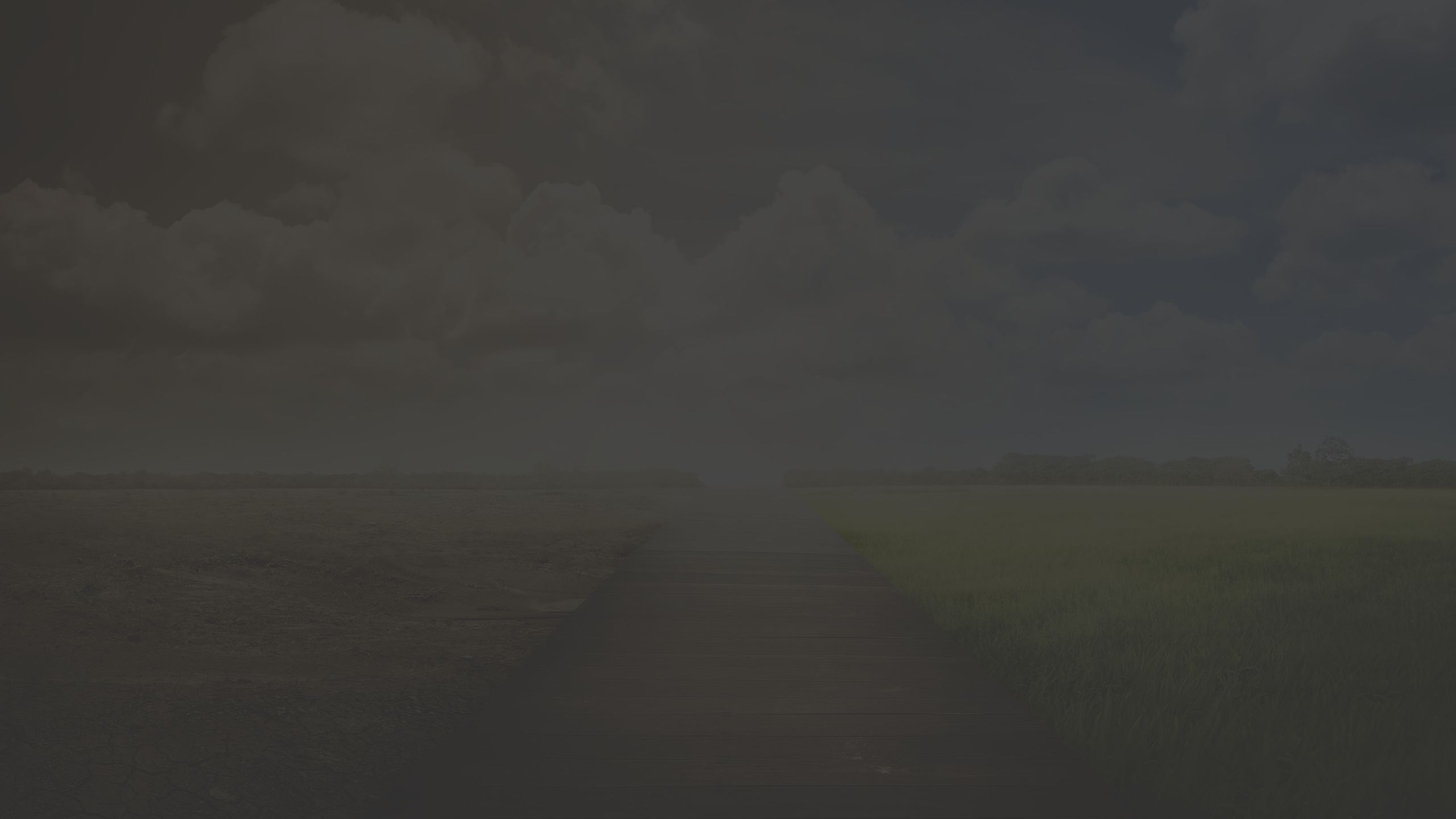 road, path, life, death