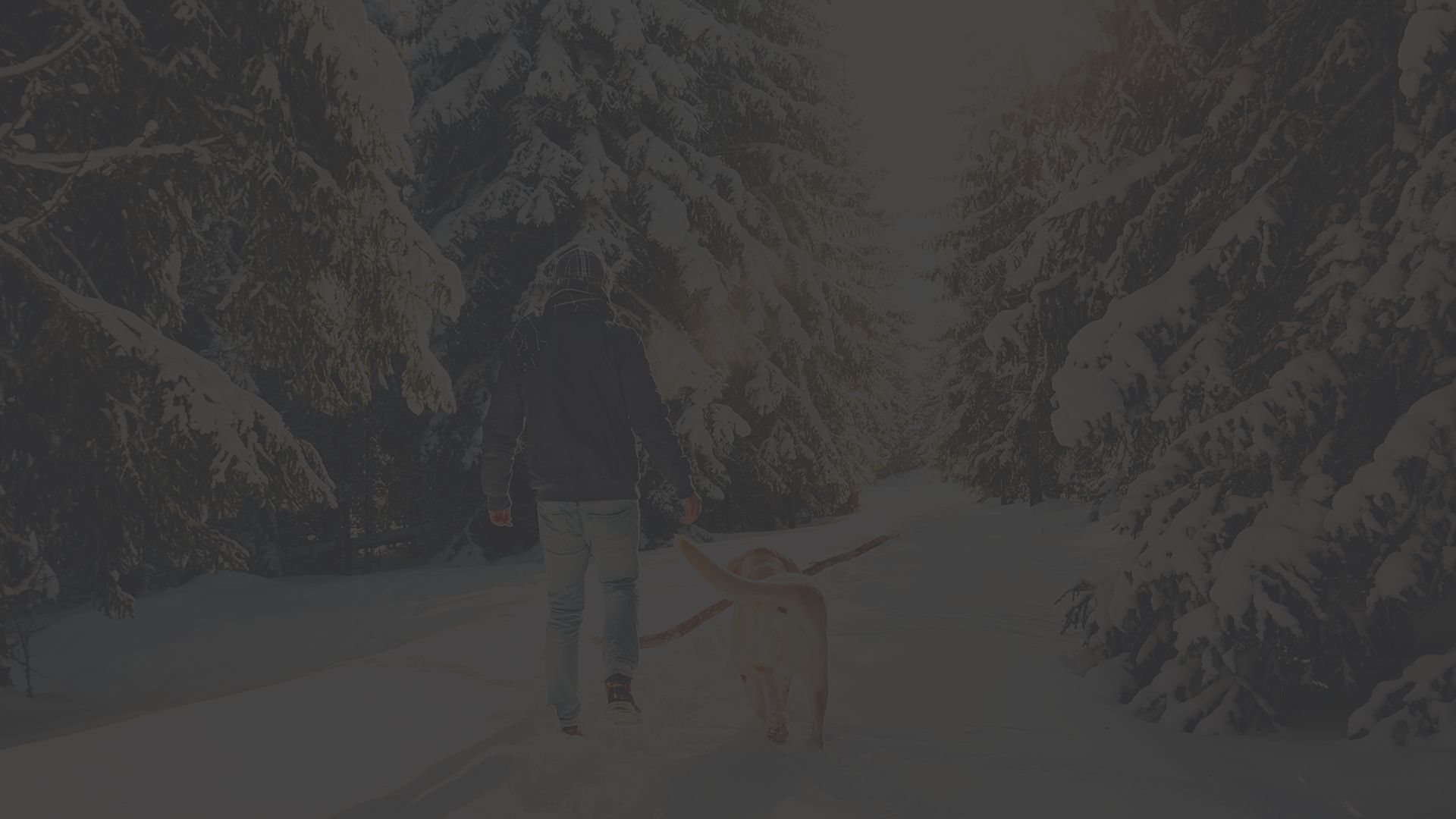 man walking dog in snow