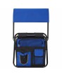 Custom Logo Cooler Bag Chair