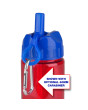 Promo 22 oz. Mini Mountain Bottle with Flip Straw Lid
