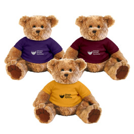 Custom Logo 12 Inch Traditional Bear