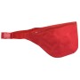 Large Fanny Pack