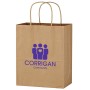 Kraft Paper Brown Wine Bag - 13" X 17"