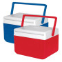 Custom Coleman Fliplid Cooler
