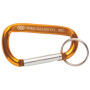 Personalized Carabiners with Keyring