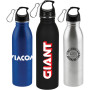 24 oz. Stainless Steel Bottles