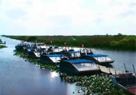 Fort Lauderdale Beach Cams Live Web Cams