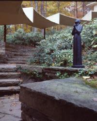 Canopy with Rose