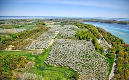 Aerial Shot of Blossoms on Old Mission Peninsula