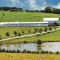 Friendship Farms