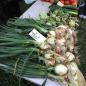 Ligonier Country Market