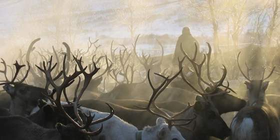 Sami culture - winter