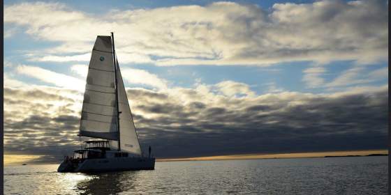 Northern Lights and Whale Safari – Best of the Best – Arctic Cruise In Norway (Nov-Jan)