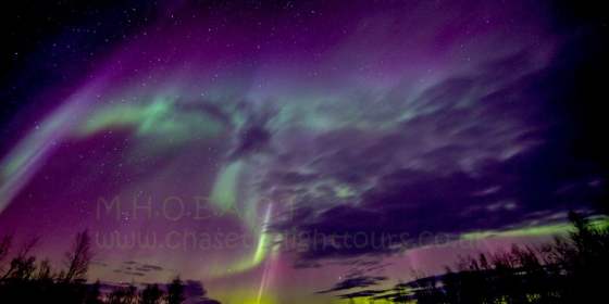 Marianne, a Real Aurora Hunter with a Genuine Passion - M.H.O.E.A.C.T