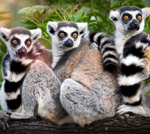 $3 off per adult, up to 6 discounted admissions.