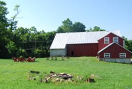 Dickinson Farm-220