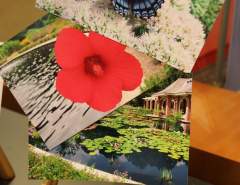 Huntsville Botanical Garden post cards