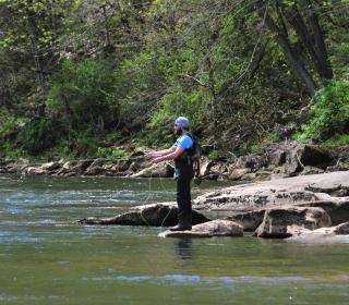 Fly Fishing