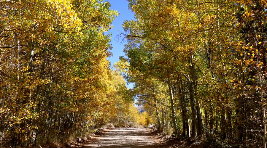 Green Creek Fall Colors
