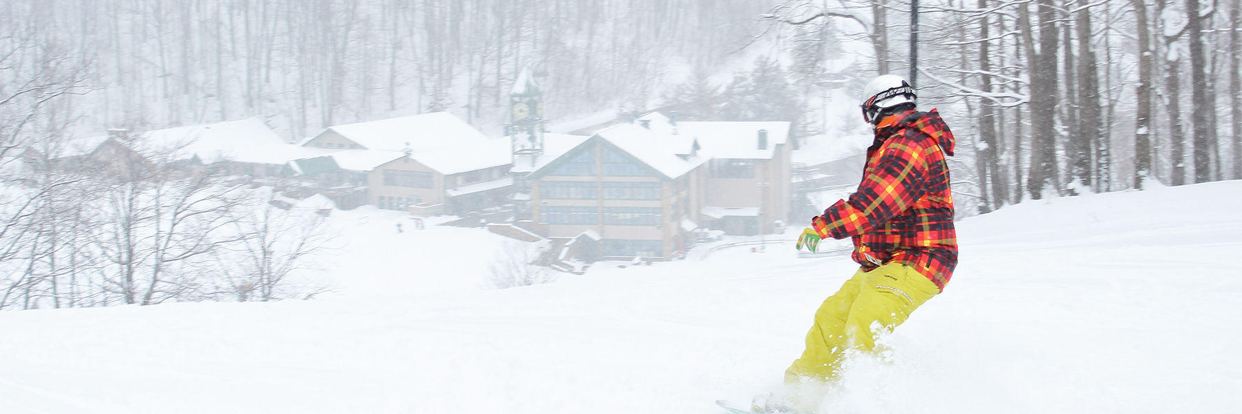 Skiing and Winter Sports