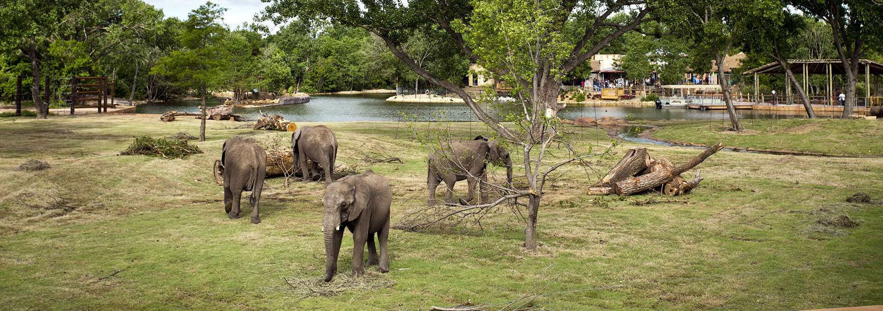 Visit Wichita Events Things To Do Hotels Restaurants