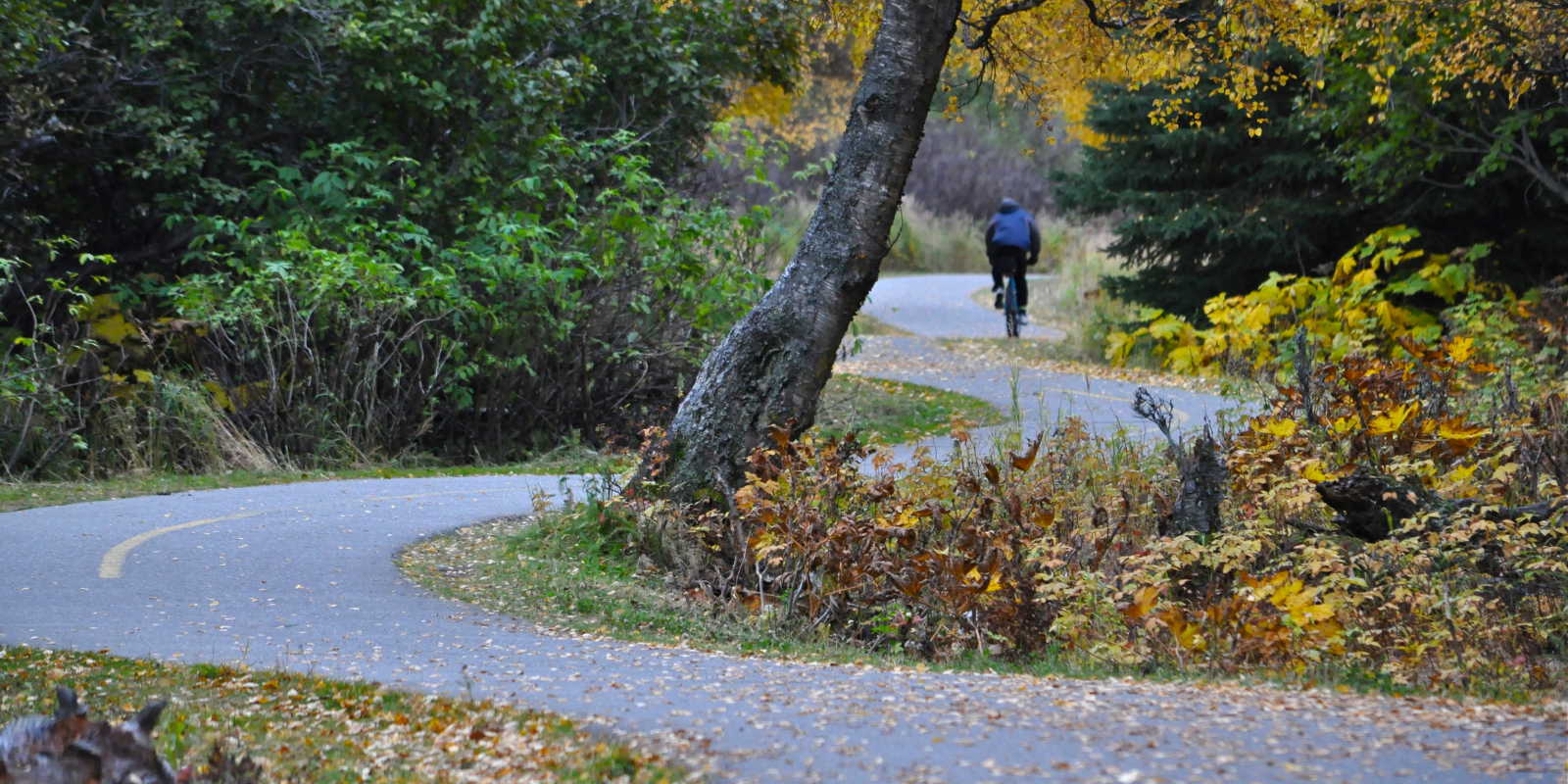 Kincaid Park Visit Anchorage