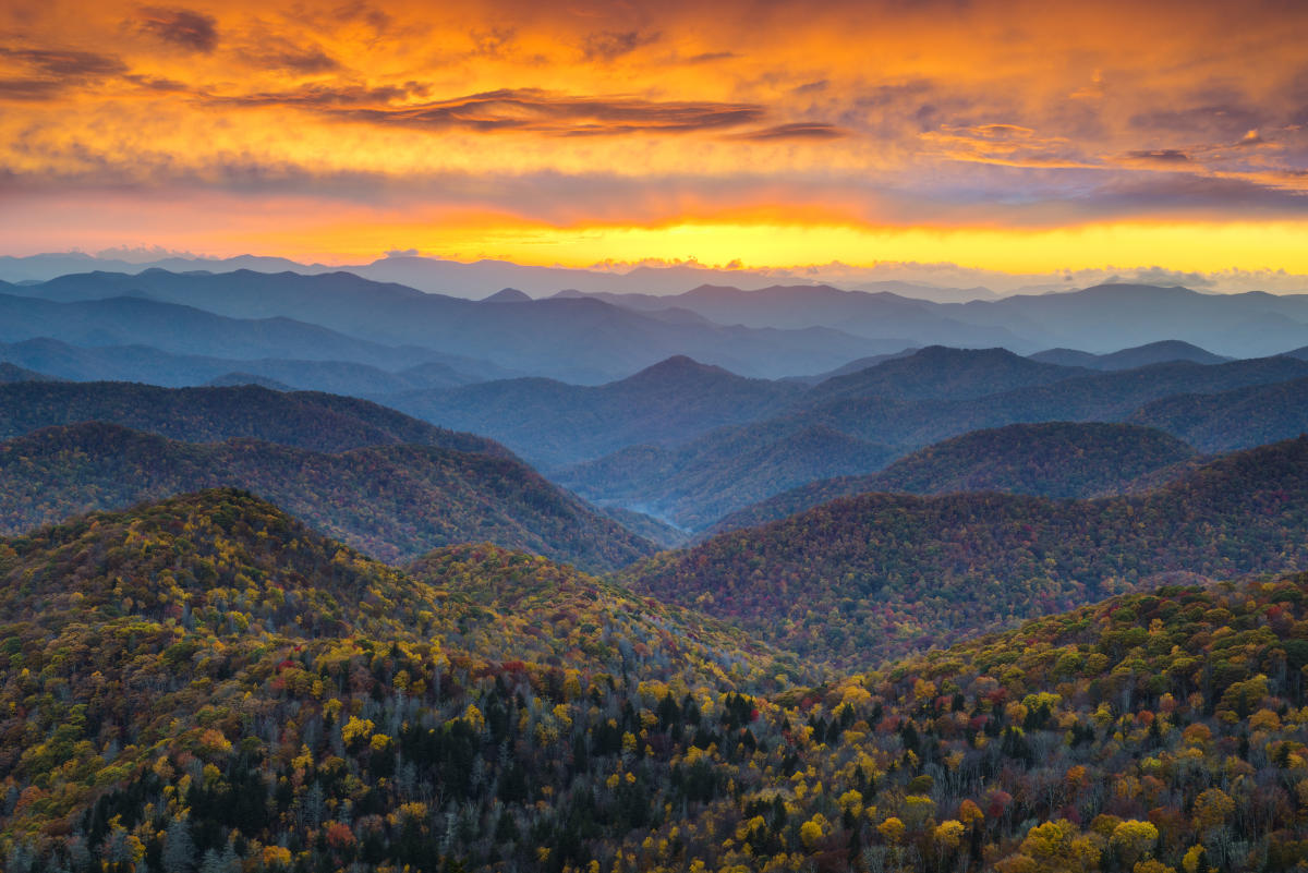 Fall Forecast and Weekly Fall Color Report Asheville, NC's Official